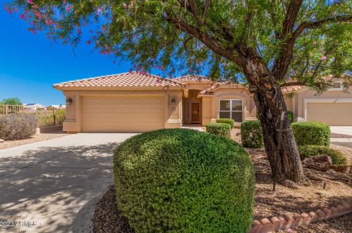 17865 Lainie Ct, Sun City, AZ 85378-2545