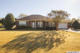 217 Tara Leigh Dr, Huntsville, AL 35811-7941