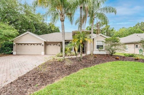 3822 Pendlebury Dr, Palm Harbor, FL 34685-2667