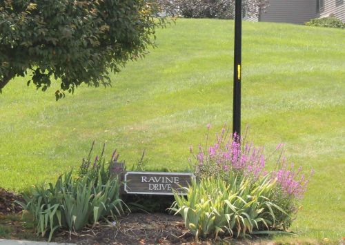 970 Ravine Dr, Covington, KY 41017-3679