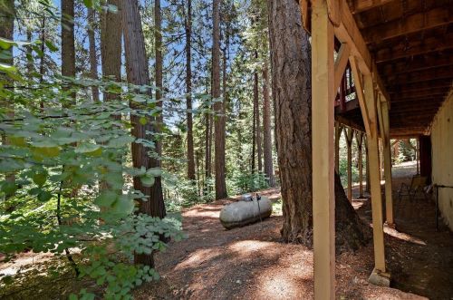 3626 Gold Ridge Trl, Pacific House CA  95726-9734 exterior