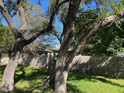 4214 Madrid Dr, Georgetown TX 78628-1306 exterior