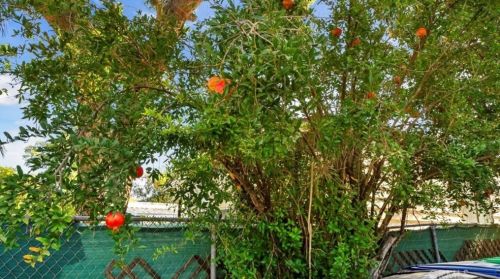 32940 Rome Hill Rd, Lake Elsinore CA  92530-6246 exterior