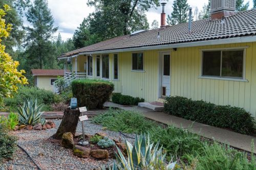 15737 Frenchtown Rd, Brownsville CA  95919-9717 exterior
