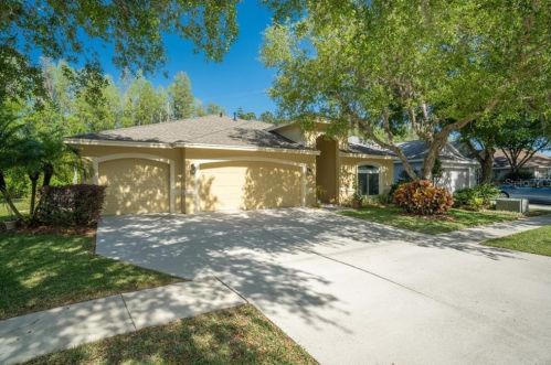 4611 Snow Shower Ct, Lutz, FL 33558-9076