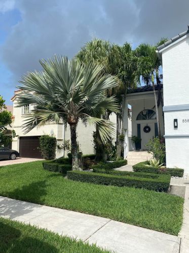 858 156th Ave, Hollywood, FL 33028-1517