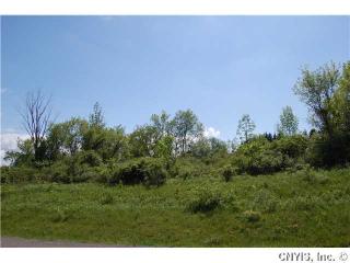 1092 Davinci Dr, Virgil, NY