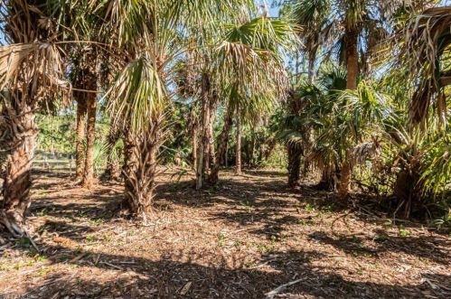 661 12th Ave, Naples FL  34120-2304 exterior