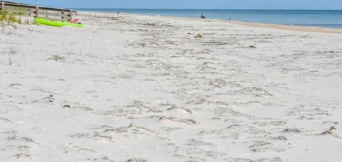 1804 Gulf Bch Dr, Saint George Island FL  32328-2827 exterior