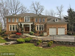 1371 Cameron Heath Dr, Herndon, VA 20194-1454