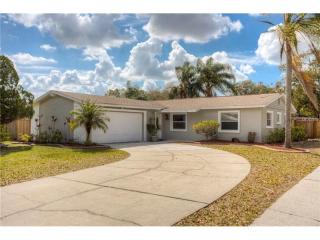 612 Tangerine Dr, Oldsmar, FL 34677-2739