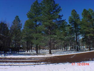 4102 Bridle Path Cir, Pinetop AZ  85935-8635 exterior