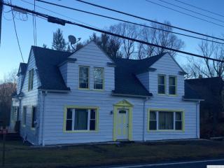 319 State Route 296, East Windham, NY 12439-5109