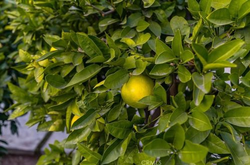 578 Prospero Dr, Covina CA  91723-3250 exterior