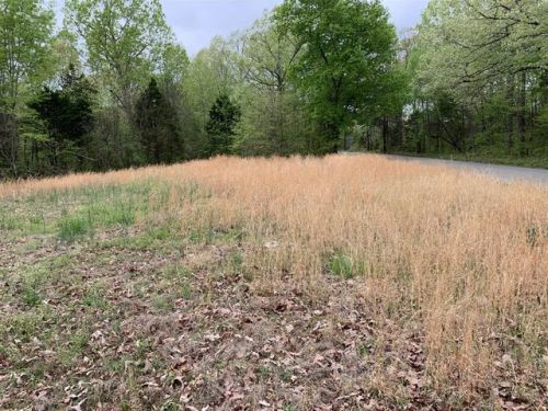 2125 Woods Valley Rd, Cumberland Furnace, TN 37051-4909