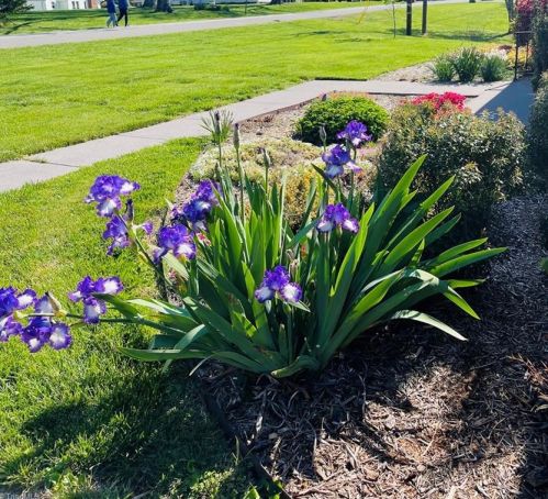 127 Pineview Dr, Mount Airy NC 27030-5145 exterior