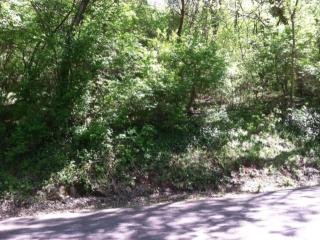 174 Saligugi Way, Loudon, TN 37774-2516