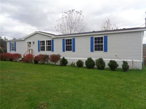 10050 Lake Hollow Rd, Cohocton, NY 14826-9617