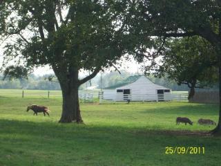 1503 Cornersville Hwy, Lewisburg, TN 37091-5109