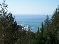 424 Humboldt Loop, Shelter Cove, CA 95589-9168