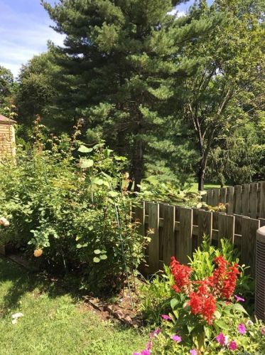 208 Ivy Hill Ln, Rye Brook NY  10573-1607 exterior