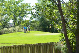 4615 99th Pl, Westminster, CO 80031-2517