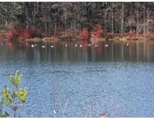 23 Ains Manor Rd, Palmer MA  exterior