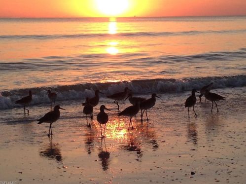 7330 Estero Blvd, Fort Myers Beach FL  33931-4759 exterior