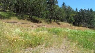 1450 Wagon Trl Dr, Applegate OR  97530-9712 exterior