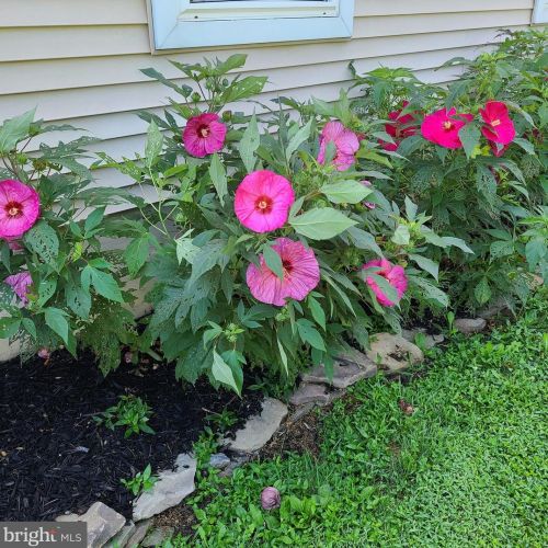 1139 Wilson Ave, Glen Mills PA  19342-9610 exterior