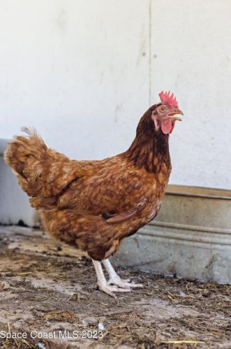 1325 Friday Rd, Cocoa FL  32926-3440 exterior