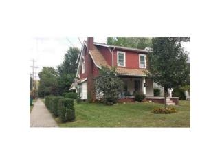 88 Orch Grv, Painesville OH  exterior