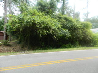 4991 Pimlico Dr, Tallahassee, FL 32309-2342