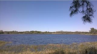 348 Black Lake Rd, Osteen, FL 32764-9023