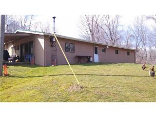 38340 Lees Run Rd, Cadiz, OH 43907-9536