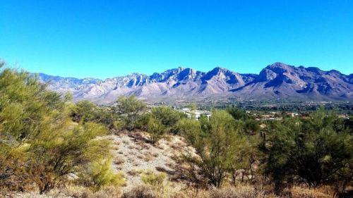 1060 Broken Stone Pl, Tucson AZ  85737-8638 exterior