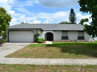 8731 Alegre Cir, Orlando, FL 32836-5453