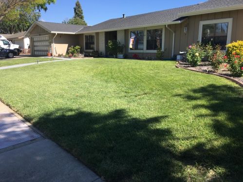 309 Olivina Ave, Livermore, CA 94551-6136