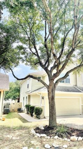2419 Allred Dr, Austin TX  78748-1488 exterior