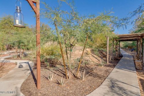 7125 Paradise Dr, Scottsdale AZ 85254-4735 exterior