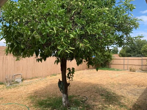 2534 Poplar St, San Bernardino CA  92410-1937 exterior