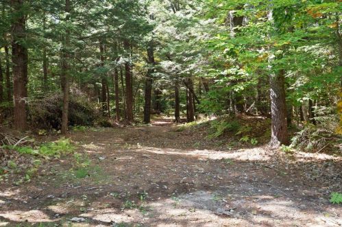 87 Garney Rd, Wakefield NH  03872-7400 exterior