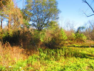 808 Pine Valley Dr, Belville, NC 28451-9727