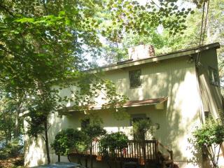 234 Trapper Springs Ln, Drums, PA 18222-1217