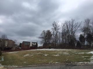 12306 Newport Trace Ct, Louisville, KY 40299-8328