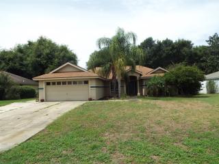 2738 Lake Landing Blvd, Eustis, FL 32726-6941