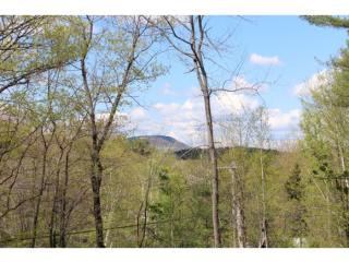 66 River St, Ashland, NH 03217-4413