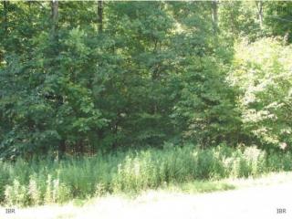 6295 Haights Gulf Rd, Virgil, NY 13045-9770