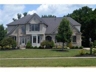3193 Blue Heron Trce, Medina, OH 44256-6108