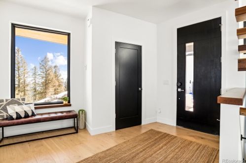 10199 Christopher Dr, Conifer, CO 80433-8821